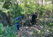 Soluții verzi pentru protecția cursurilor de apă!