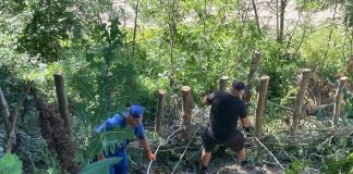 Soluții verzi pentru protecția cursurilor de apă!