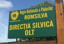 PLANTE MEDICINALE VÂNDUTE DE DIRECȚIA SILVICĂ