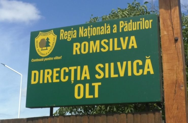 PLANTE MEDICINALE VÂNDUTE DE DIRECȚIA SILVICĂ