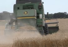 UNA DINTRE CELE MAI BUNE PRODUCȚII DE GRÂU DIN ULTIMII ANI