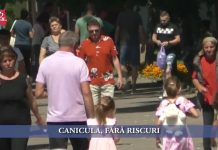CANICULA, FĂRĂ RISCURI