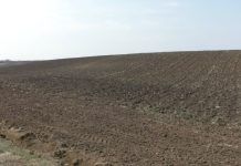 MII DE HECTARE DE TEREN DIN OLT, MONITORIZATE ANUAL