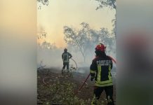 Pompierii români continuă lupta cu incendiile de vegetație din sudul Franței