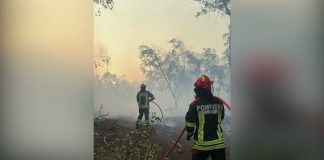Pompierii români continuă lupta cu incendiile de vegetație din sudul Franței
