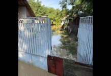 Ploile torențiale au inundat gospodării din Olt. ISU a intervenit în 6 localități
