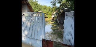 Ploile torențiale au inundat gospodării din Olt. ISU a intervenit în 6 localități