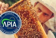 31 IULIE – TERMEN LIMITĂ DE DEPUNERE A DOCUMENTAȚIILOR LA APIA