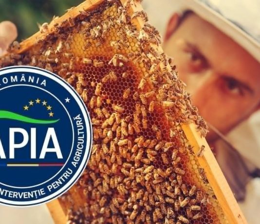 31 IULIE – TERMEN LIMITĂ DE DEPUNERE A DOCUMENTAȚIILOR LA APIA
