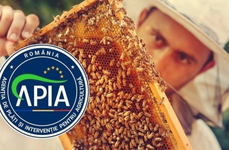 31 IULIE – TERMEN LIMITĂ DE DEPUNERE A DOCUMENTAȚIILOR LA APIA