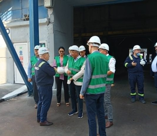 Mădălina Vale: „Industria din Slatina trebuie sprijinită”