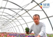 Fonduri nerambursabile pentru investiții în floricultură, plante medicinale și aromatice