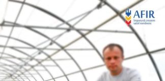 Fonduri nerambursabile pentru investiții în floricultură, plante medicinale și aromatice