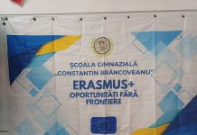 Copiii au descoperit, la Școala de Vară, cum pot contribui la protejarea mediului