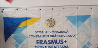 Copiii au descoperit, la Școala de Vară, cum pot contribui la protejarea mediului