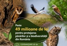 Peste 49 milioane de lei pentru protejarea păsărilor și a biodiversității din România