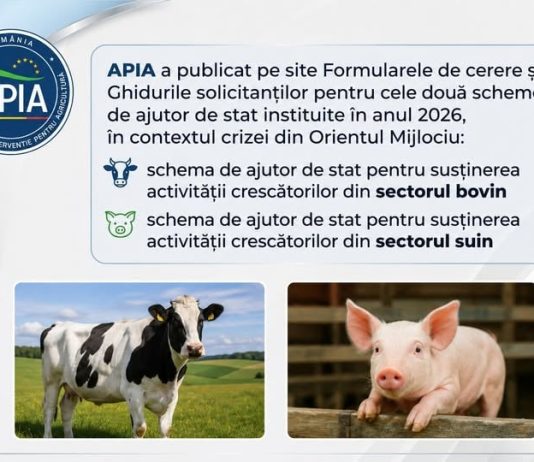 APIA a publicat Ghidurile pentru schemele de ajutor de stat destinate crescătorilor de bovine și suine