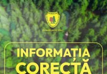 Precizari Romsilva referitoare la unele proceduri de achizitie