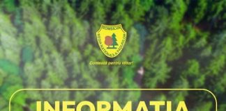 Precizari Romsilva referitoare la unele proceduri de achizitie