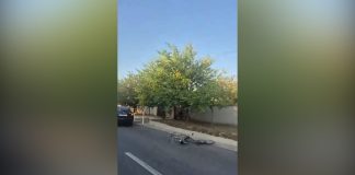 BICICLIST TRANSPORTAT LA SPITAL, DUPĂ UN ACCIDENT PE DJ 546