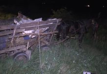 A BĂUT, A LOVIT UN PIETON ȘI A FUGIT. ARESTAT 30 DE ZILE
