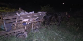 A BĂUT, A LOVIT UN PIETON ȘI A FUGIT. ARESTAT 30 DE ZILE