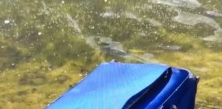 Descoperire macabra: Tânără ucisă, găsită într-o valiză pe Olt. Iubitul dat in urmarire