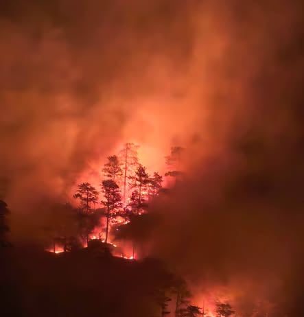 Intervenții susținute pentru stingerea incendiilor din Parcul Național Domogled
