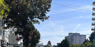 Se asfaltează Bulevardul A.I. Cuza! Șoferii, avertizați: traficul se desfășoară cu restricții.