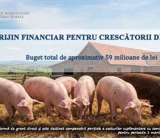 La solicitarea MADR, Comisia Europeană a autorizat schema de sprijin pentru crescătorii de porci