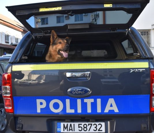 SANCȚIONAT CONTRAVENȚIONAL PENTRU NERESPECTAREA PREVEDERILOR LEGALE PRIVIND PROTECȚIA ANIMALELOR