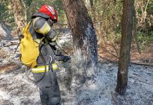 Pompierii olteni, în misiune în Bulgaria pentru stingerea incendiilor
