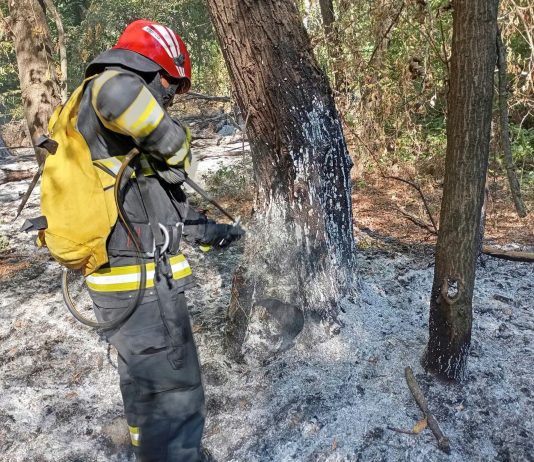 Pompierii olteni, în misiune în Bulgaria pentru stingerea incendiilor