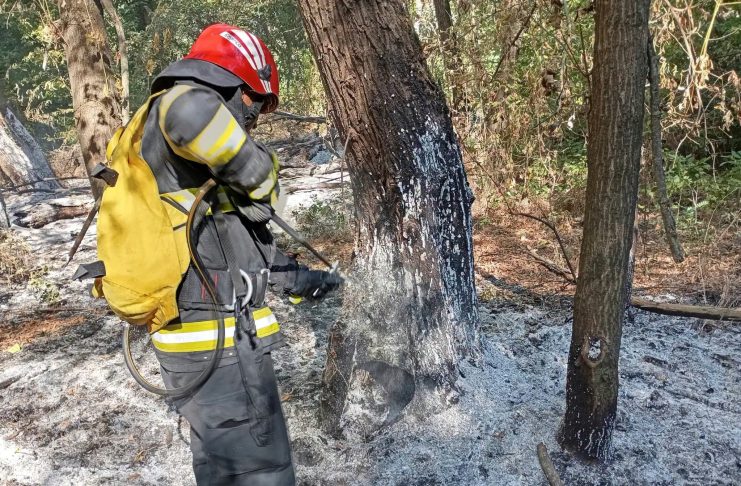 Pompierii olteni, în misiune în Bulgaria pentru stingerea incendiilor