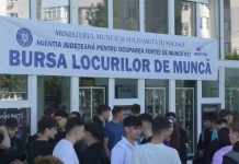 AJOFM ORGANIZEAZĂ BURSA LOCURILOR DE MUNCĂ PENTRU ABSOLVENȚI