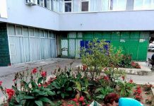 Primăria Slatina: Lucrări de întreținere în parcuri, spații verzi și pe aleile pietonale