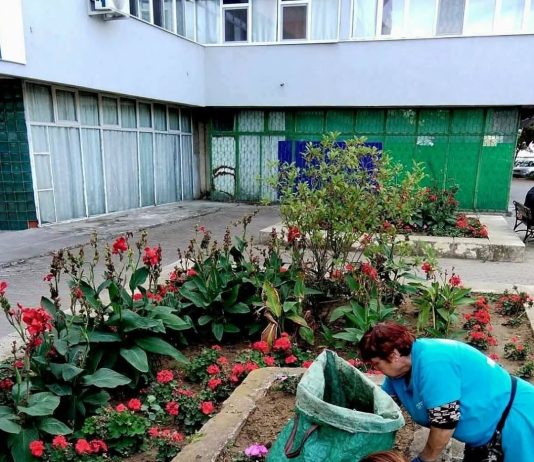 Primăria Slatina: Lucrări de întreținere în parcuri, spații verzi și pe aleile pietonale