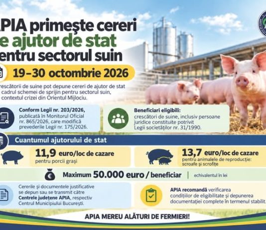 APIA primește cereri de ajutor de stat pentru sectorul suin în perioada 19–30 octombrie
