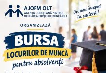 Peste 100 de locuri de muncă, disponibile la bursa locurilor de muncă pentru absolvenți, în Olt