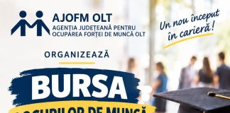 Peste 100 de locuri de muncă, disponibile la bursa locurilor de muncă pentru absolvenți, în Olt
