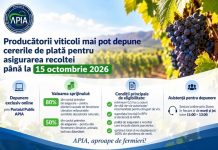 Producătorii viticoli mai pot depune cererile de plată pentru asigurarea recoltei până la 15 octombrie 2026