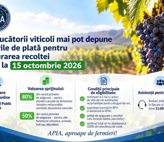 Producătorii viticoli mai pot depune cererile de plată pentru asigurarea recoltei până la 15 octombrie 2026