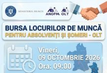 257 DE LOCURI DE MUNCĂ, DISPONIBILE LA BURSA PENTRU ABSOLVENȚI