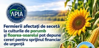 Peste 155 de milioane de lei pentru fermierii afectați de secetă: APIA începe primirea cererilor pe 12 octombrie