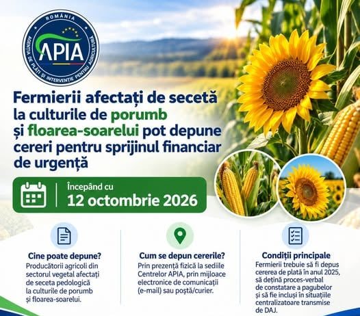 Peste 155 de milioane de lei pentru fermierii afectați de secetă: APIA începe primirea cererilor pe 12 octombrie