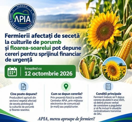Peste 155 de milioane de lei pentru fermierii afectați de secetă: APIA începe primirea cererilor pe 12 octombrie