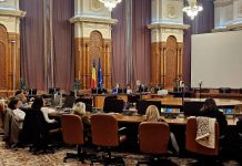 Prevenirea femicidului începe cu identificarea riscurilor și intervenția la timp