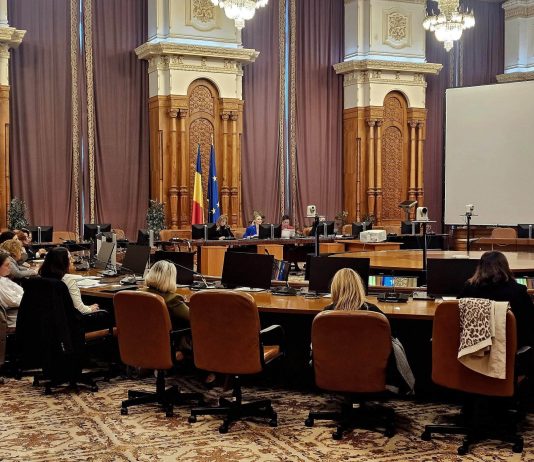 Prevenirea femicidului începe cu identificarea riscurilor și intervenția la timp