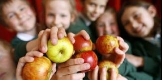Modificari aduse Programului pentru școli al României