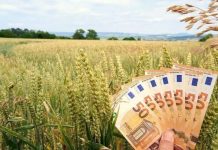 Peste 589 de milioane de euro virate în conturile fermierilor pentru Campania 2026